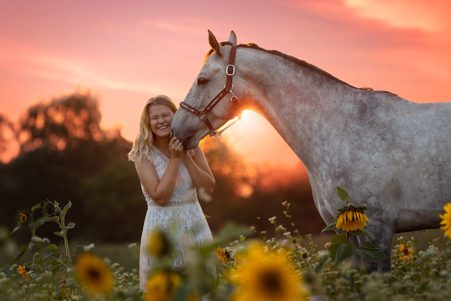 Pferdefotografie